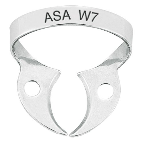 Clamps molar wingless #W7