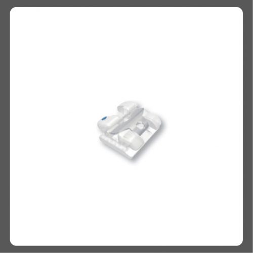 Clippy-C (Formula-M) 022 10's - L1&2 univ