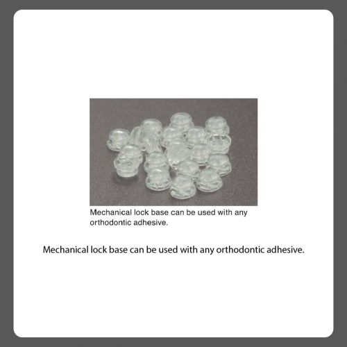 Lingual button plastic 20's
